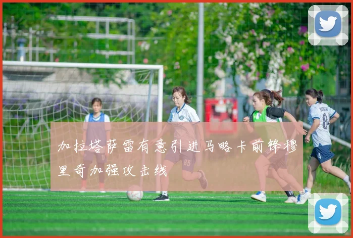 加拉塔萨雷有意引进马略卡前锋穆里奇加强攻击线